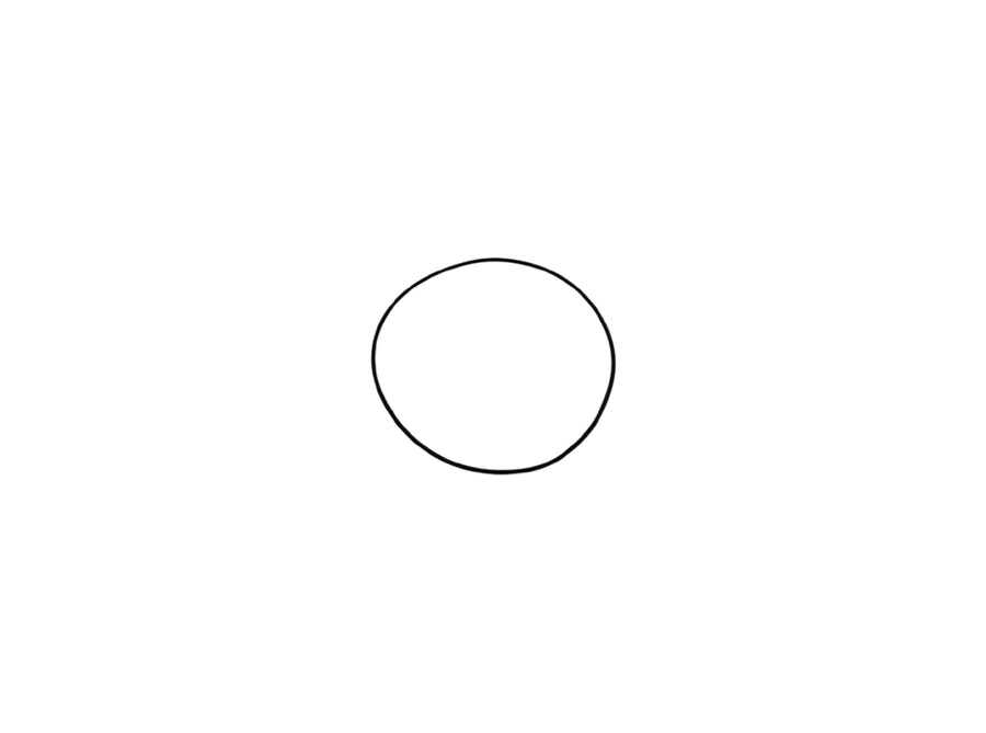Weber MT Original Weber MT O-Ring 021000532 Dichtung Ersatzteil