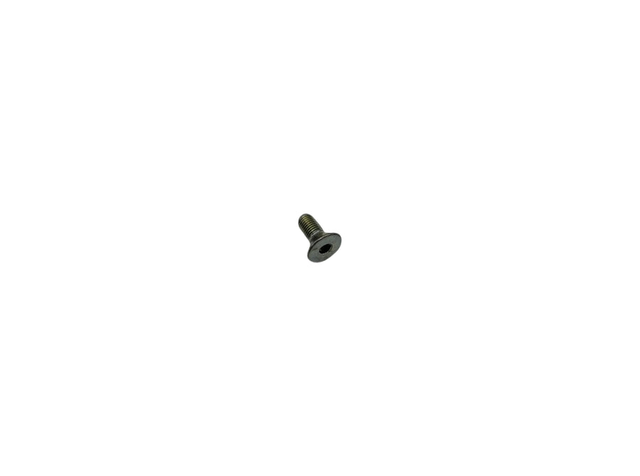 Original Weber MT Senkschraube 025047062