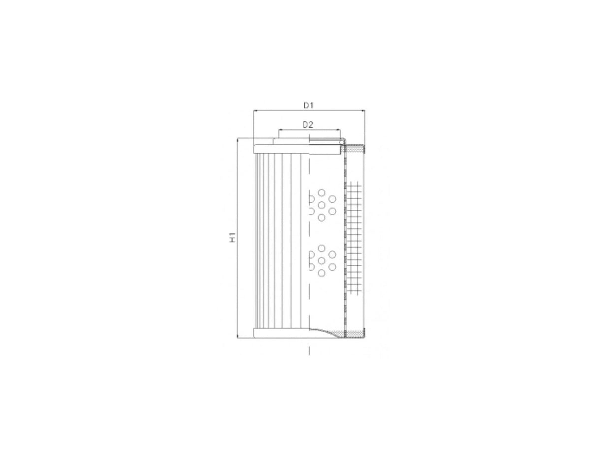 Original FILTREC Filterelement für Druckfilter DVD20013B60V
