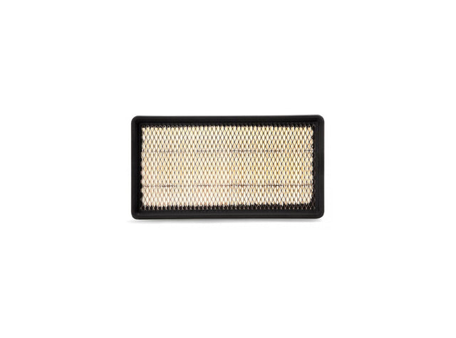 Original Fleetguard Luftfilterelement AF25256