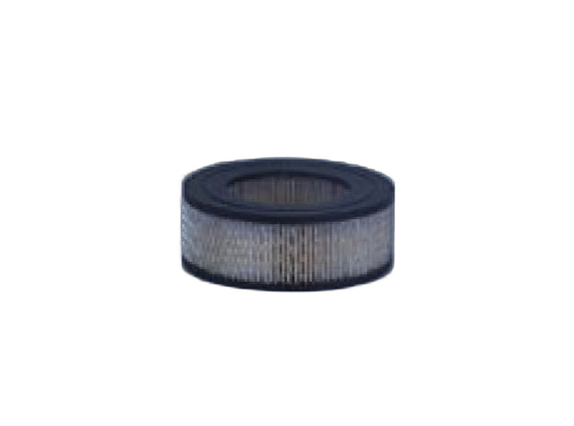 Original Fleetguard Luftfilterelement AF479